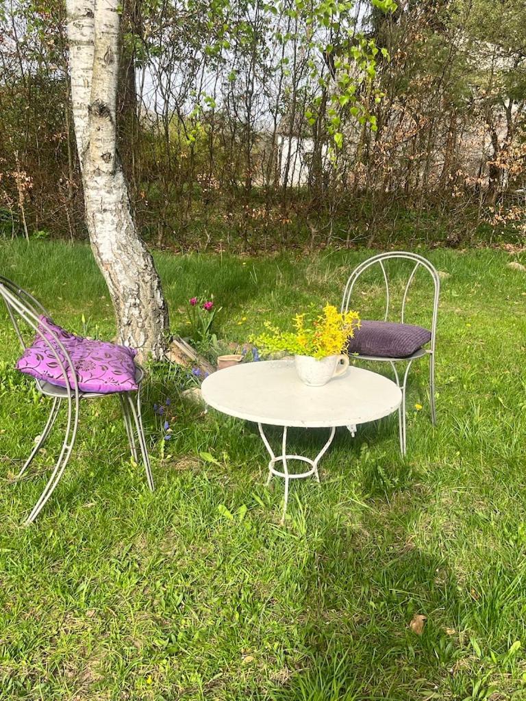 Apartament-Samodzielne Mieszkanie-Agroturystyka-Puszcza Kampinoska Leoncin Dış mekan fotoğraf